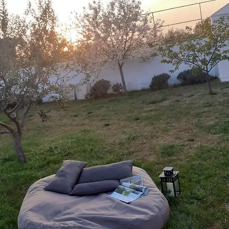 Pan * Zadar