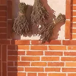 Pan * Zára