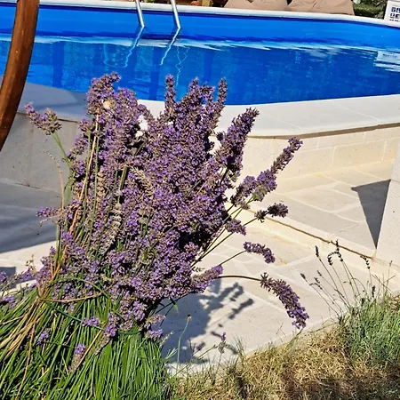 Casa vacanze Pan
