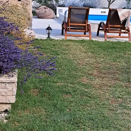 Pan